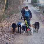 Ersteller:in Paula Profilbild