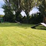 Hundeauslaufgebiet-Hundeverein Lauffen-Bild