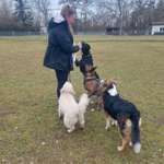 Hundeauslaufgebiet-Hundeverein Lauffen-Bild