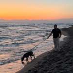 Ersteller:in Jonas Profilbild