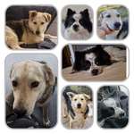 Ersteller:in Laura Profilbild