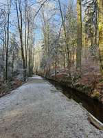 Hundeauslaufgebiet-Stiller Bach-Bild