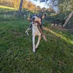 Ersteller:in Meike Profilbild