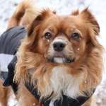 Ersteller:in Paula Profilbild