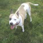 Ersteller:in Nadine Profilbild