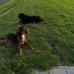 Ersteller:in Jan Profilbild