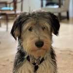 Ersteller:in Karoline Profilbild