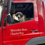 Ersteller:in Sebastian Profilbild