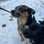 Ersteller:in Anna & Nikita Profilbild