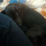 Ersteller:in Jana Profilbild