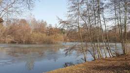 Hundeauslaufgebiet-Klötzebecken-Bild