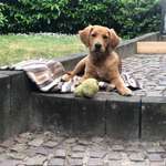 Ersteller:in Rolf Profilbild