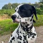 Ersteller:in Daniela Profilbild