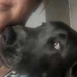 Ersteller:in Kerstin Profilbild