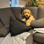 Ersteller:in Kerstin Profilbild