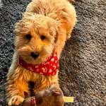 Ersteller:in Kerstin Profilbild