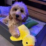 Ersteller:in Kerstin Profilbild