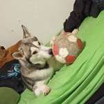 Ersteller:in Dayrell Profilbild