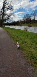 Hundeauslaufgebiet-An der Wutach-Bild