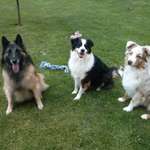 Ersteller:in Sandra Profilbild