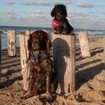 Ersteller:in Melanie Profilbild