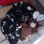 Ersteller:in P Profilbild