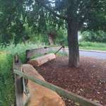 Hundeauslaufgebiet-Lerbeck neesen meissen Rundgang-Bild