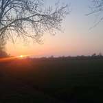 Hundeauslaufgebiet-Lerbeck neesen meissen Rundgang-Bild