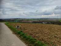 Hundeauslaufgebiet-Feldwege zwischen Bretten/Ruit/knittlingen-Bild