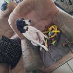 Ersteller:in Sabrina Profilbild