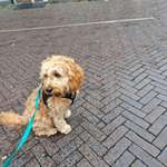 Ersteller:in Anna Profilbild