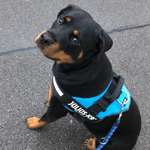 Ersteller:in Shereen Profilbild