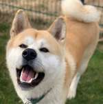 Ersteller:in Sven Profilbild