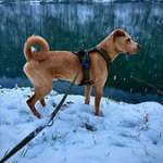 Ersteller:in Mi Profilbild