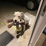 Ersteller:in Caro Profilbild