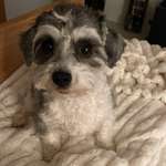 Ersteller:in W. Profilbild