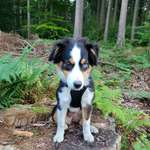 Ersteller:in Carmen Profilbild