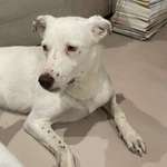 Ersteller:in Jana Profilbild