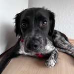 Ersteller:in Patricia Profilbild