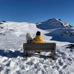 Ersteller:in Anna Profilbild