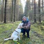 Ersteller:in Dennis Profilbild