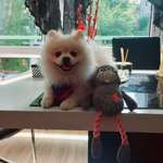 Ersteller:in Pampi 😊 Profilbild