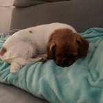 Ersteller:in Ich Profilbild