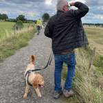Ersteller:in Dieter Profilbild