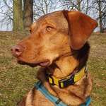 Ersteller:in Mary Profilbild