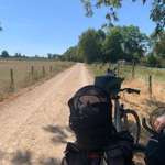 Radreise mit Hund(-en)-Beitrag-Bild