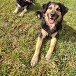 Ersteller:in Julia Profilbild