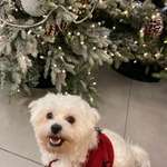 Ersteller:in Dilara Profilbild