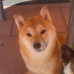 Ersteller:in Renata Profilbild