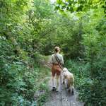 Ersteller:in Anika Profilbild